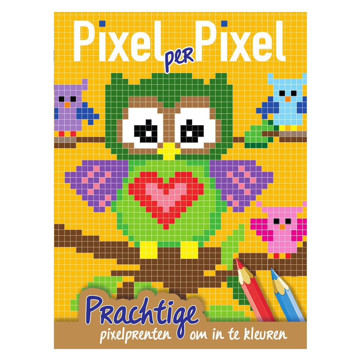 Tarjetas orales Píxel Colorbook Owls