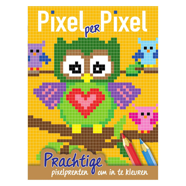 Tarjetas orales Píxel Colorbook Owls