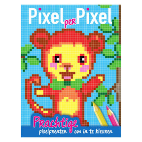 Tarjetas orales Pixel Colorbook Monkey