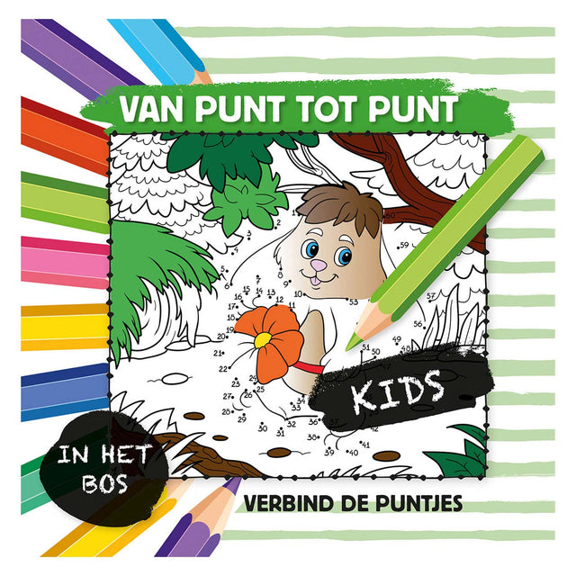 De punto a punto en el bosque