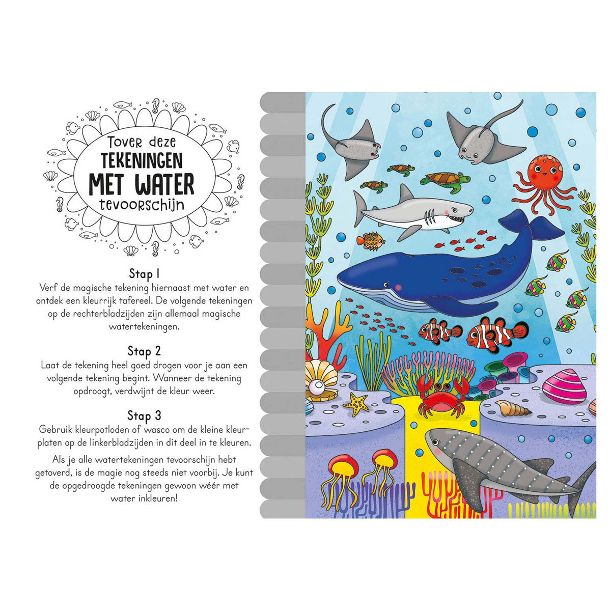 Libro para colorear de agua mágica en el mar.