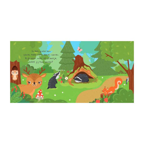 Editores de Lantern, ¿pueden encontrarme? Libro de lectura en el bosque y 20 tarjetas de notas.
