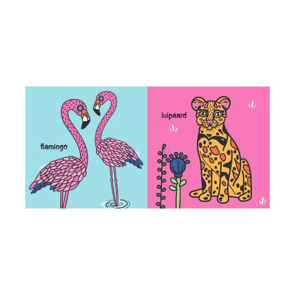 Editores de linternas colores mágicos - libro de cartón tropical