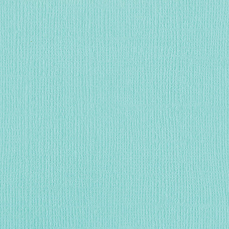 Bazzill • lienzo mono 30,5x30,5cm aruba