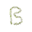 Garland de rosas de albahaca - Flower Streng - Blanco