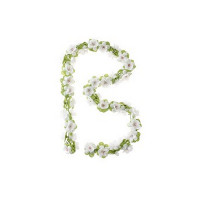 Garland de rosas de albahaca - Flower Streng - Blanco