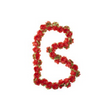 Garland de flores de albahaca - Flower Streng - Rojo