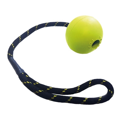 Happy pet juguetes duros flotador bola jumbo cuerda surtido