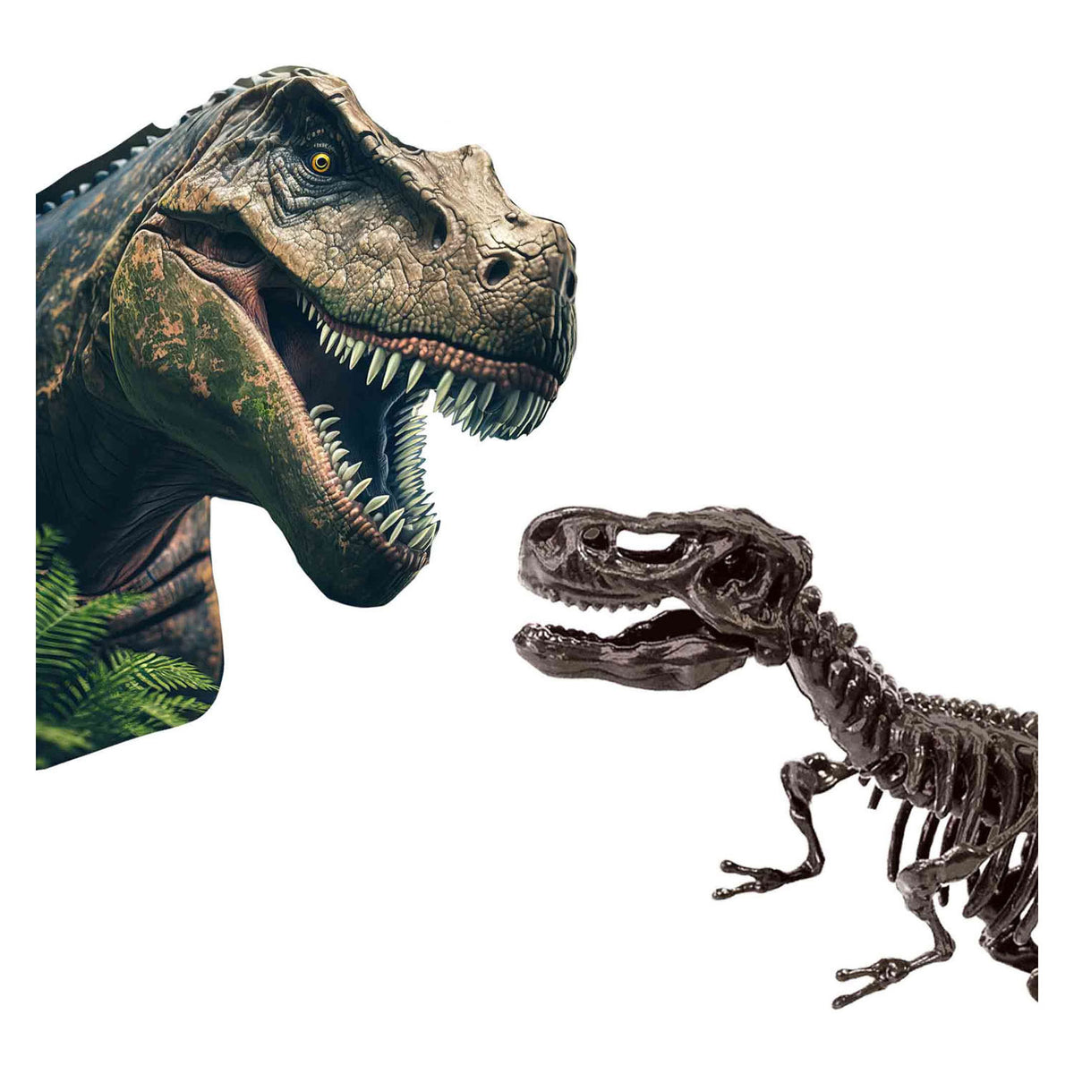 SES Explore Dino y Skeleton excavados 2in1 - t -rex