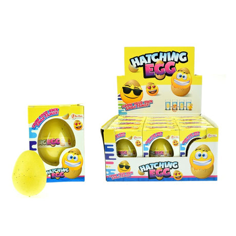 Toi-Toys Growth-hegg Smile Face