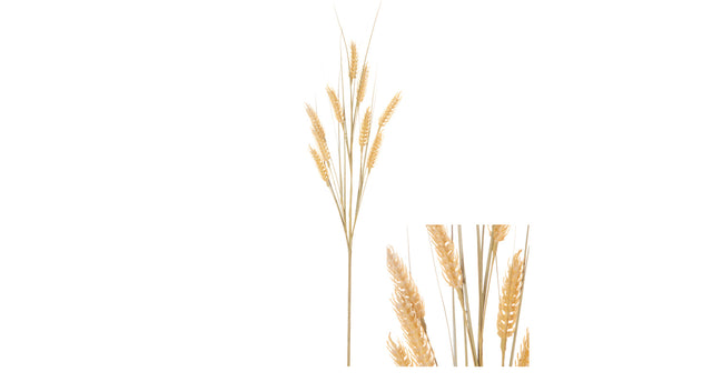Stem wild barley 8x8x71cm yellow