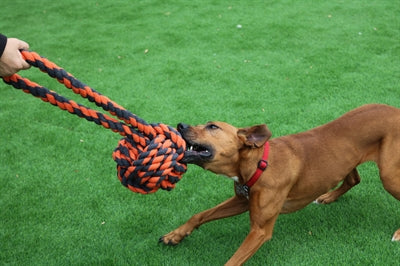 Tuercas para mascotas felices para nudos, tirador de bolas extremo