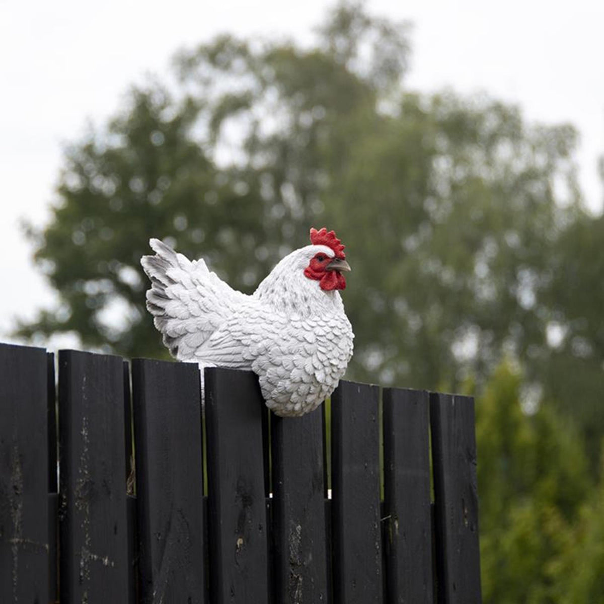 Pollo de valla de diseño Esschert