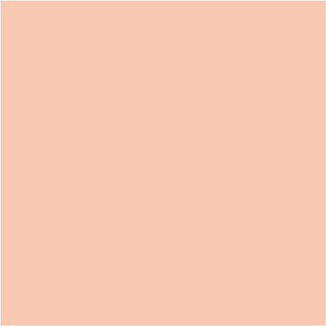Bic http: www.cchobby.nl -visa-color-marcadores-de-colores-espesor-de-linea-3-mm-beige-claro-12-piezas-1-caja