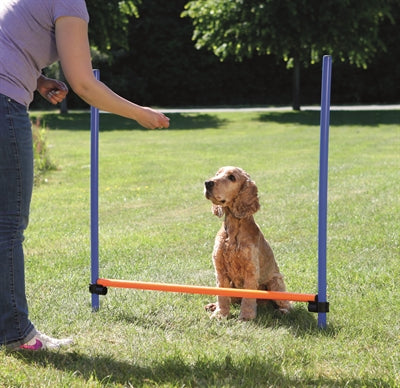 Trixie perro actividad agility valla azul naranja