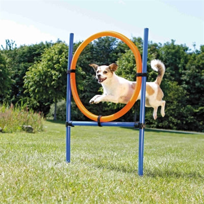 Trixie dog activity agility ring blue orange