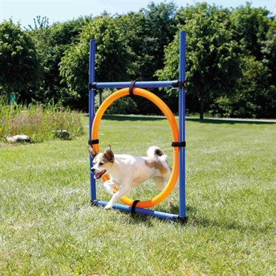 Trixie dog activity agility ring blue orange