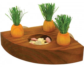 Juguetes de zanahoria de palowood y bocadillos