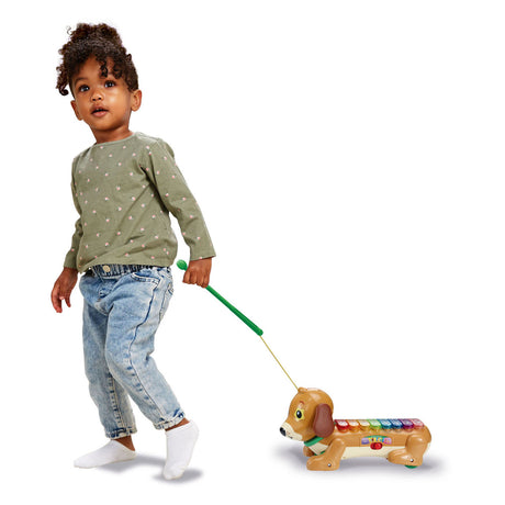 Xilófono Vtech Timmie Dachshund con luz y sonido