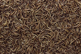 Gusanos de la comida secas
