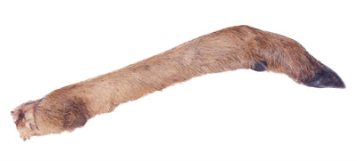 Petsnack Reeen Poot con ella