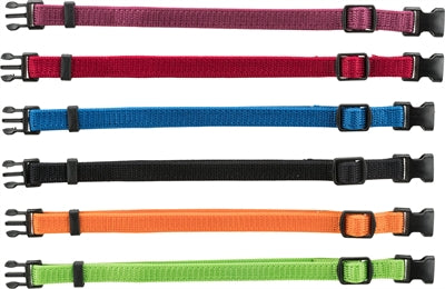 Trixie conjunto collar cachorro negro rojo azul manzana papaya orquídea