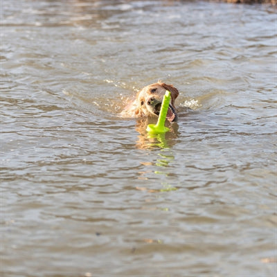 Trixie flotador de actividad para perros moth-aqua fetch verde lima