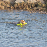 Trixie flotador de actividad para perros moth-aqua fetch verde lima