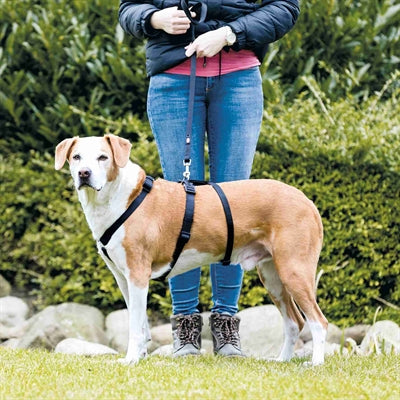 Trixie arnés para perros estancia negro