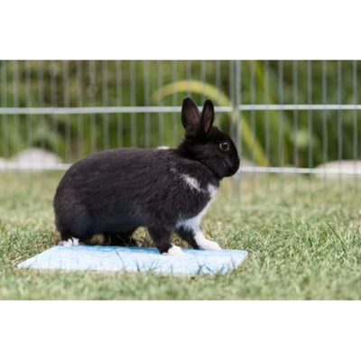 Trixie Placa refrigerante para animales pequeños azul
