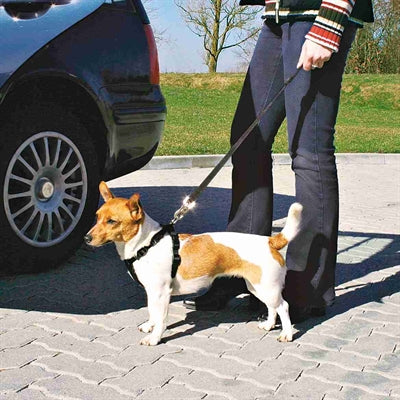 Trixie arnés para perros de coche con cinturón negro
