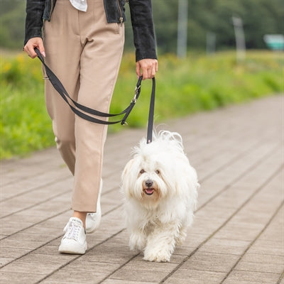 Trixie Correa para perros premium ajustable con doble costura negra