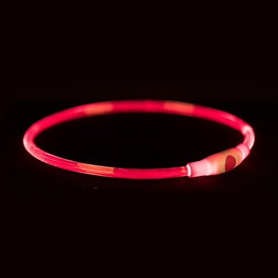 Trixie collar luminoso flash USB recargable TPU rojo