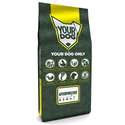 Yourdog Affenpinscher Puppy