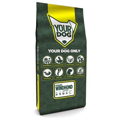 YourDog Afghan Greyhound madura