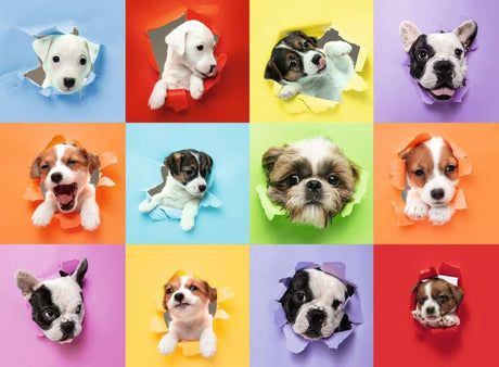 Ravensburger puzzel puppy pop out - 300 stukjes