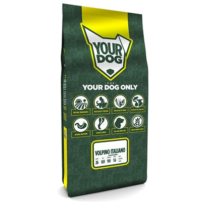 YourDog Volpino Italiano maduro