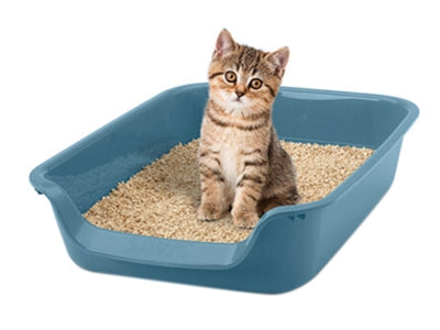 Caja de arena Savic junior azul