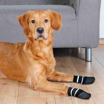 Trixie Calcetines antideslizantes para perros con capa de goma alrededor, negro