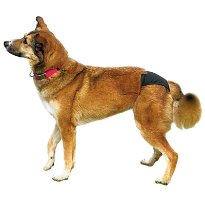 Trixie pantalón térmico negro