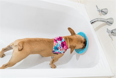 Lickimat Splash Turquesa