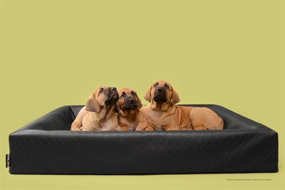 Cesta para perros cama Bia original cuadrada negra