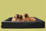 Cesta para perros cama Bia original cuadrada negra