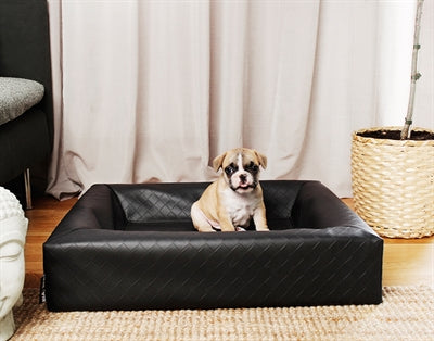 Cesta para perros cama Bia original cuadrada negra