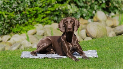 Trixie Cool Mat Soft Grey
