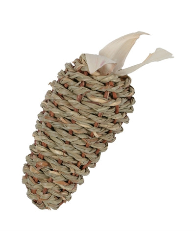Pasto marino de raíz Zolux ehop