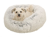 Baneta de perros de Trixie Harvey alrededor de blanco blanco