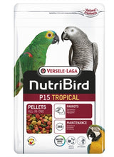 Alimento de mantenimiento tropical de Nutribird P15