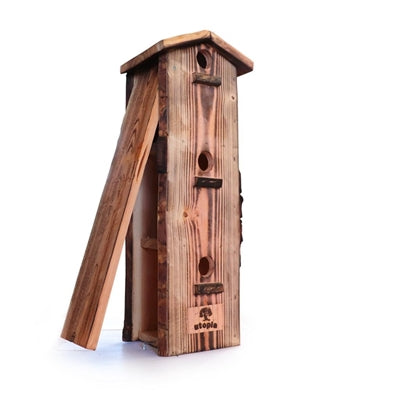 Apartamento de Sparrow de Utopía quemó Douglas Wood