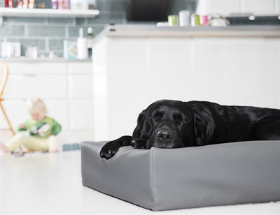 Funda para cesta para perros Bia Bed de piel sintética gris